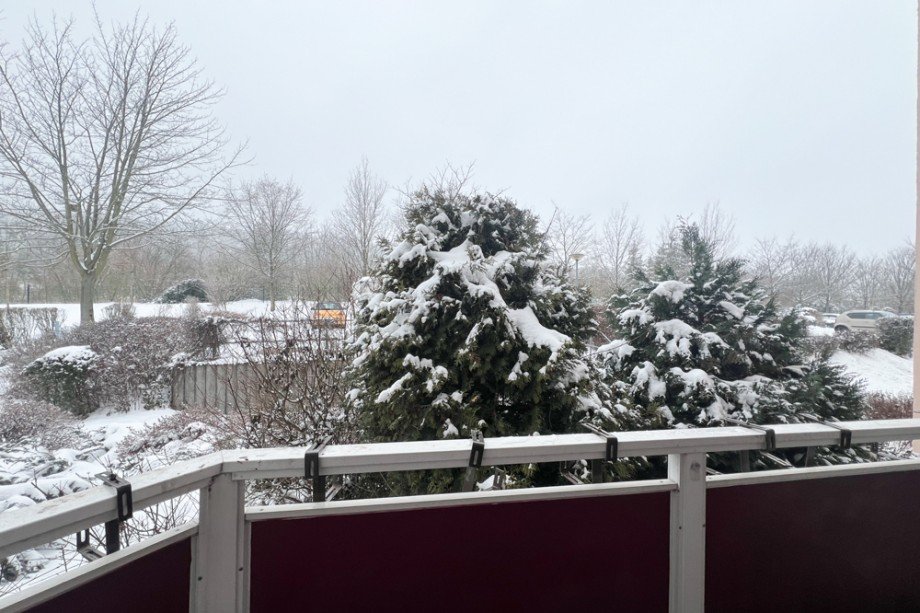 Blick vom Balkon ins Gr�ne und auf SP Erdgeschosswohnung Erfurt / Melchendorf