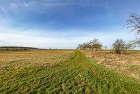 Bild (a10a1f0ba3aa53827b2e210671c49aea): Extra gro�es Baugrundst�ck in Erfurt Molsdorf