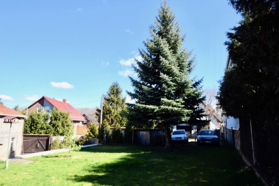 Weihnachten ist Schm�cken nat�rlich Pflicht Einfamilienhaus Erfurt
