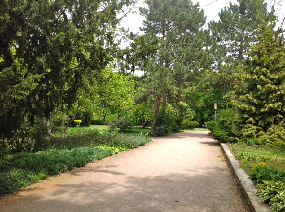 Stadtpark Erfurt Dachgeschosswohnung Erfurt