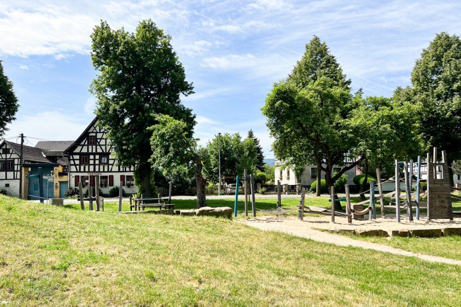 Spielplatz vor historischer Kulisse Haus Saalfeld/Saale / Remsch�tz
