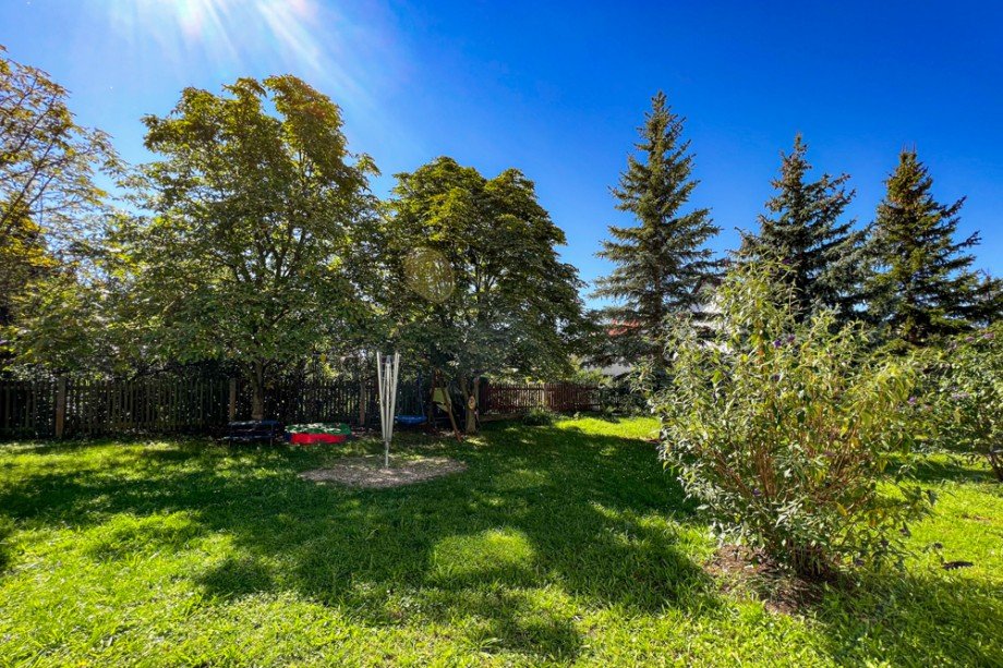 W�schespinne im Gemeinschaftsgarten Dachgeschosswohnung Erfurt