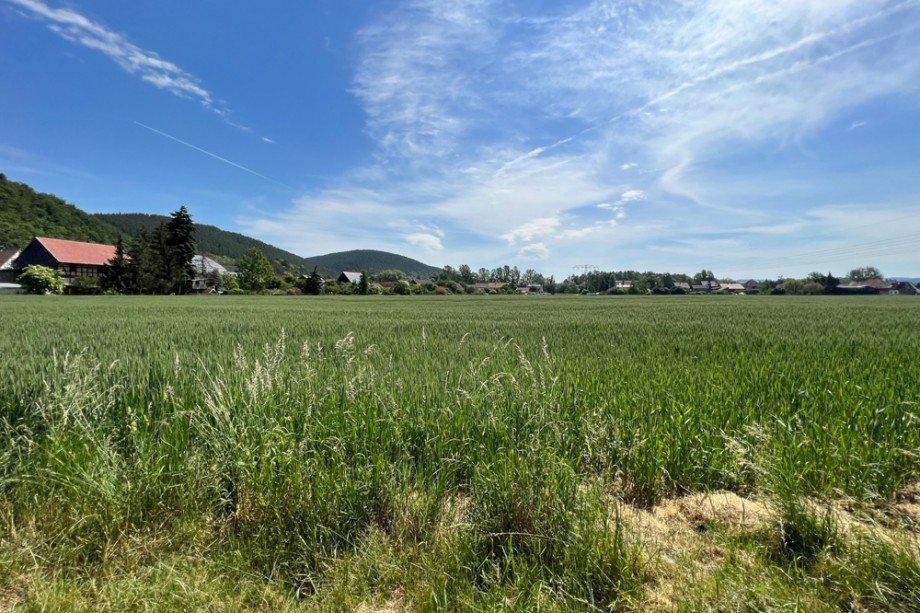 Das Haus (Mitte) ist von Fledern, Wiesen und Obstg�rten umgeben Haus Saalfeld/Saale / Remsch�tz