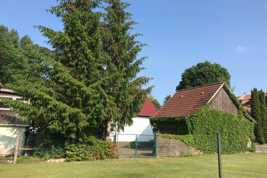 Blick auf die bewachsene Garage Einfamilienhaus Kutzleben / L�tzens�mmern