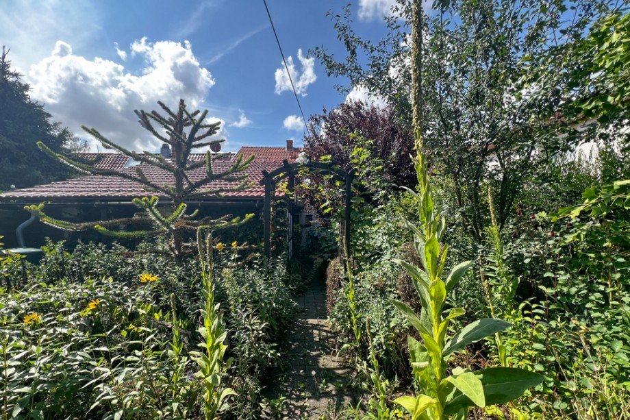 Gartenweg zum Haus Doppelhaush�lfte Unstrut- Hainich /Gro�engottern