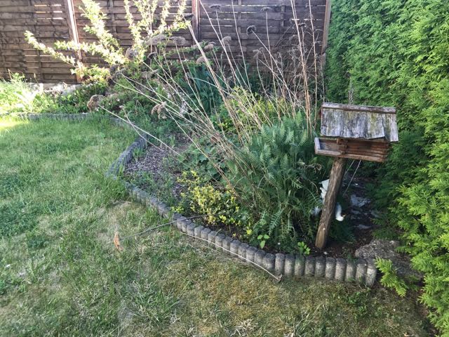 Gartendetailansicht Einfamilienhaus Erfurt