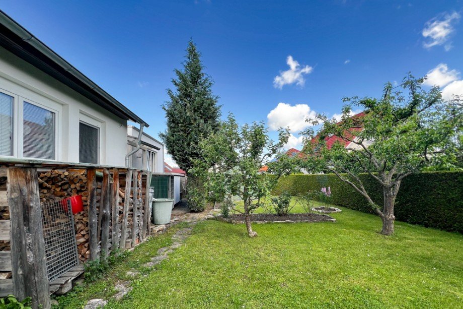 Obstb�ume im Garten Einfamilienhaus Erfurt / Niedernissa