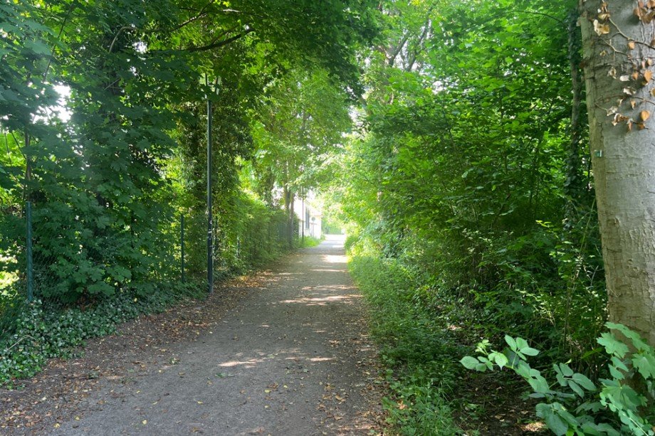 Fu�weg zum Haus Einfamilienhaus Arnstadt