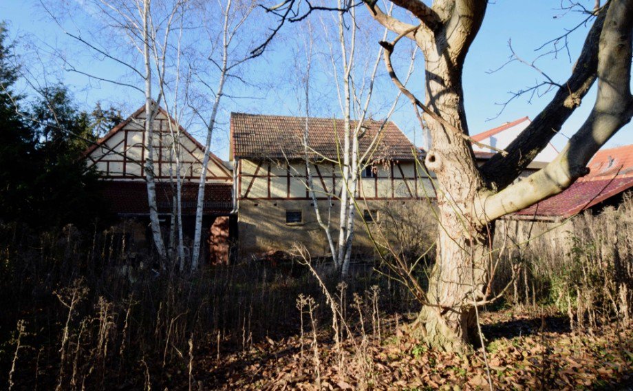 Ehemaliger garten hinter dem Hof Einfamilienhaus Tonna / Gr�fentonna