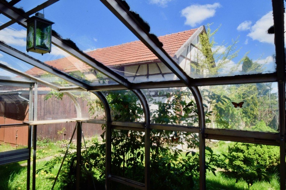 Gew�chshaus mit Stil Doppelhaush�lfte Gr�fenhain/ Ohrdruf