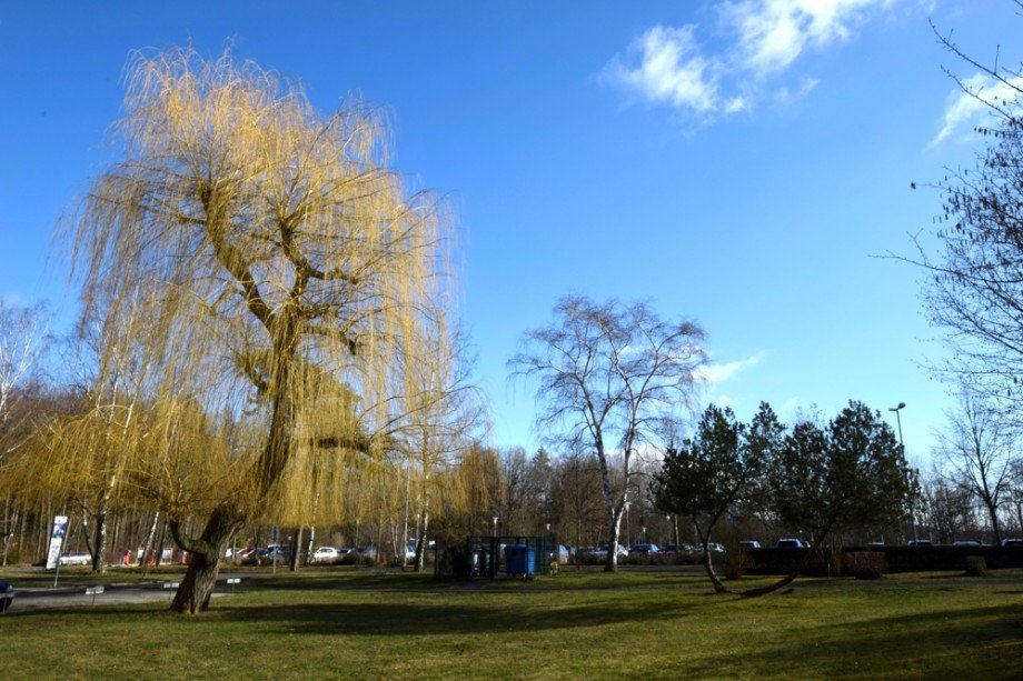 Wohnen in park�hnlicher Umgebung Etagenwohnung Bad Berka