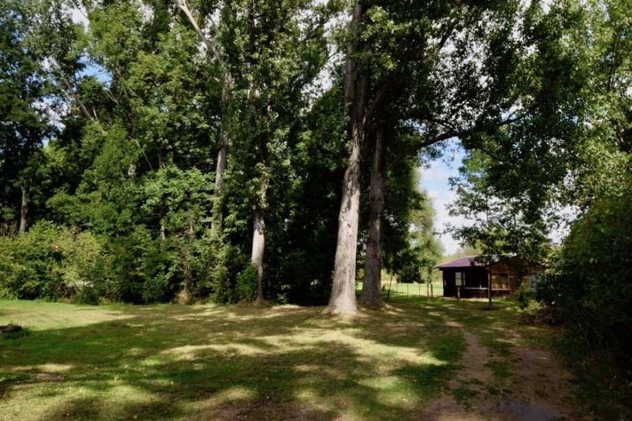 Felder und Wald hinter dem Haus Einfamilienhaus Kutzleben / L�tzens�mmern