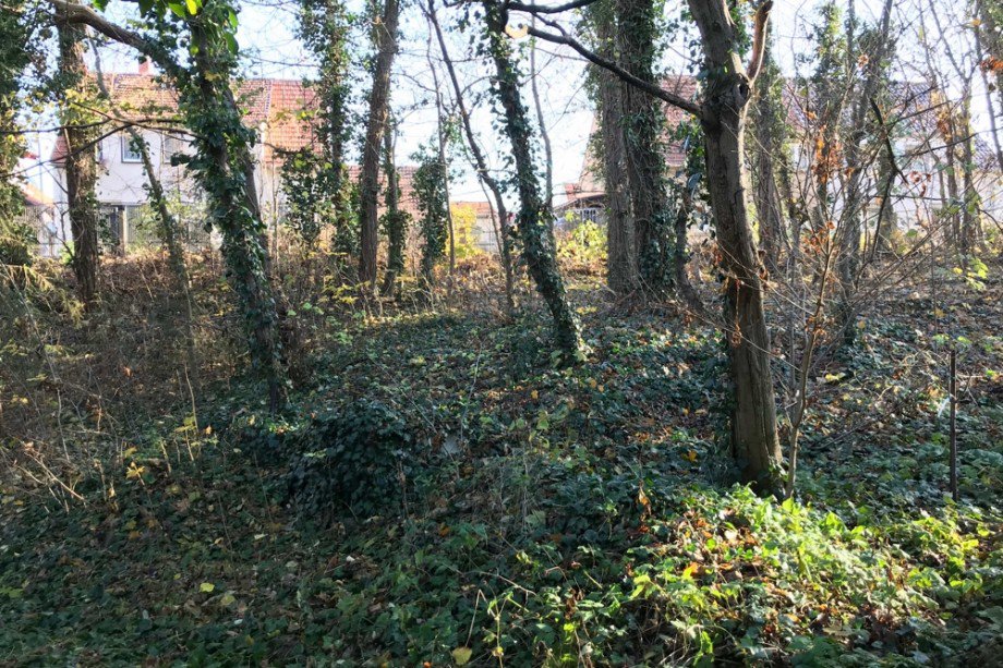 Privatwald mitten im Ort Einfamilienhaus Tonna / Gr�fentonna