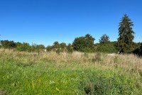 Bild (d5f7774cf93092d9031d3a85de27c24c): Extra gro�es Baugrundst�ck in Erfurt Molsdorf