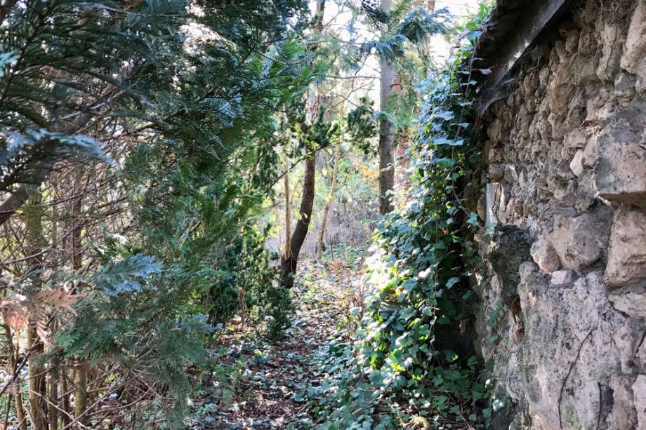 Waldspazierg�nge im eigenen Garten Einfamilienhaus Tonna / Gr�fentonna