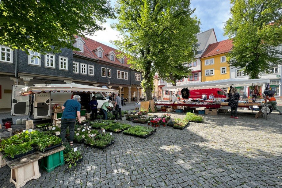 Markttag in Arnstadt Etagenwohnung Arnstadt / Altstadt