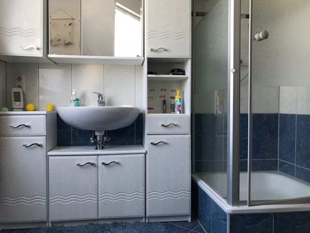 Duschecke im Badezimmer Einfamilienhaus Erfurt