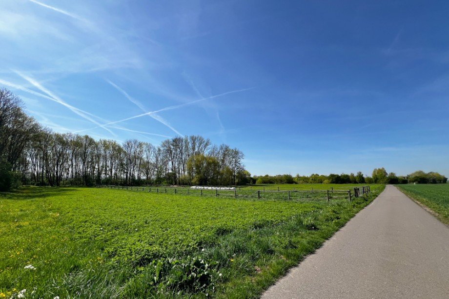 Gro�es Wiesengrundst�ck Einfamilienhaus Kleinm�lsen