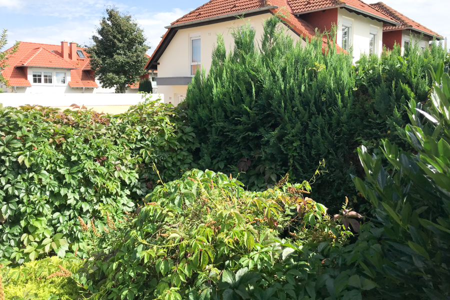 Kleiner Garten mit viel Gr�n Doppelhaush�lfte Erfurt/ Salomonsborn