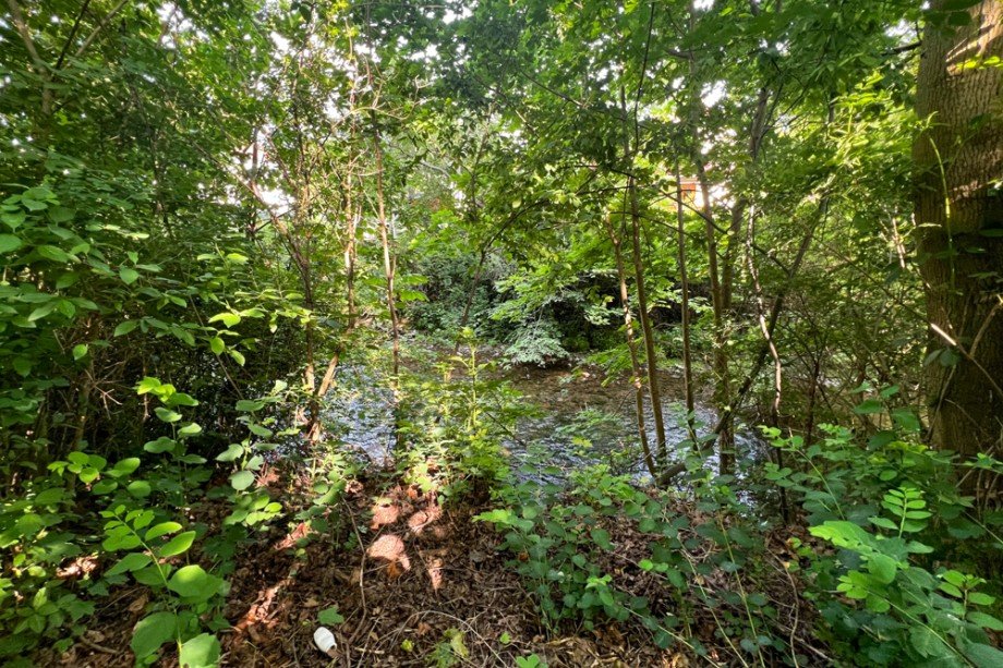 Idyllischer Fu�weg an der Gera Erdgeschosswohnung Arnstadt