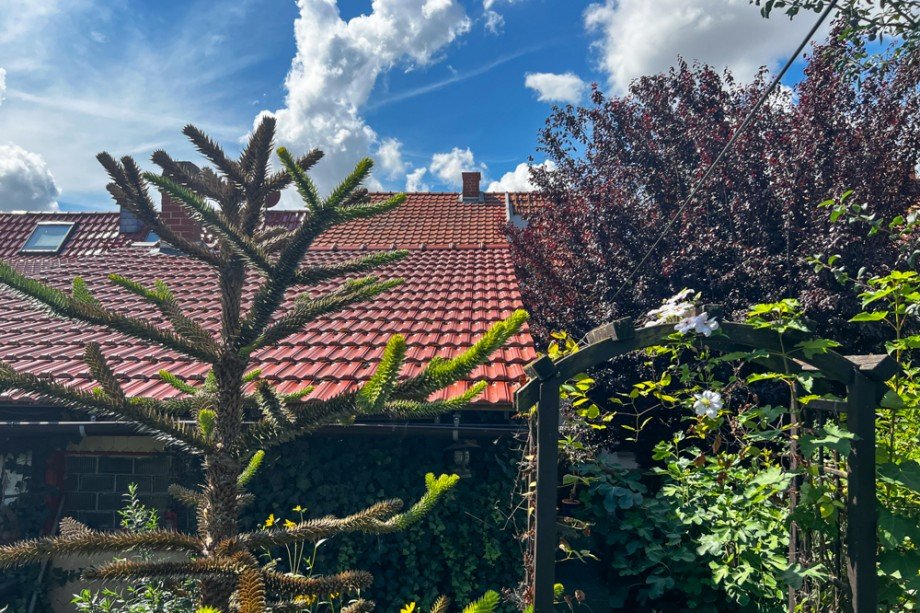 Gartenansicht Haus Doppelhaush�lfte Unstrut- Hainich /Gro�engottern