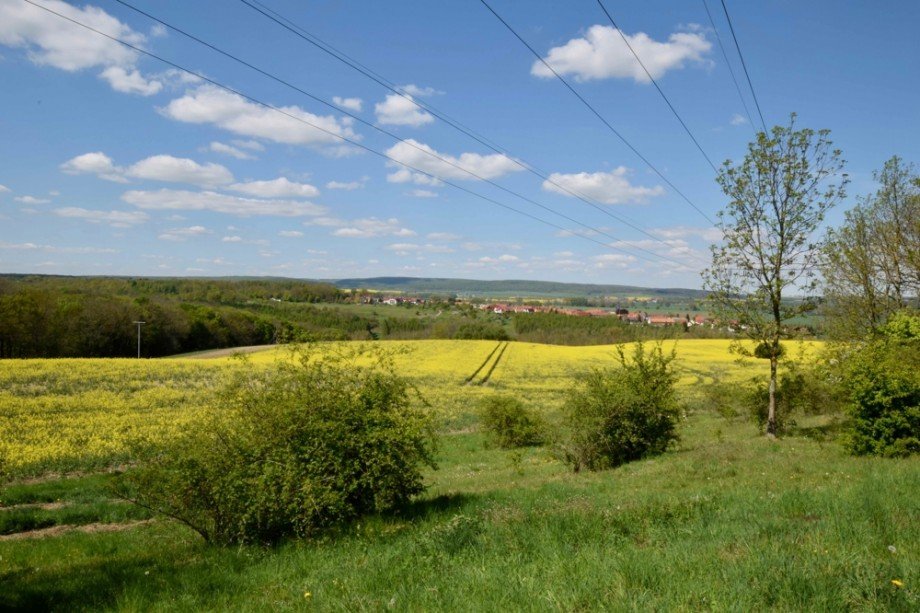 Nessetal OT Haina_Panoramablick Erdgeschosswohnung Haina