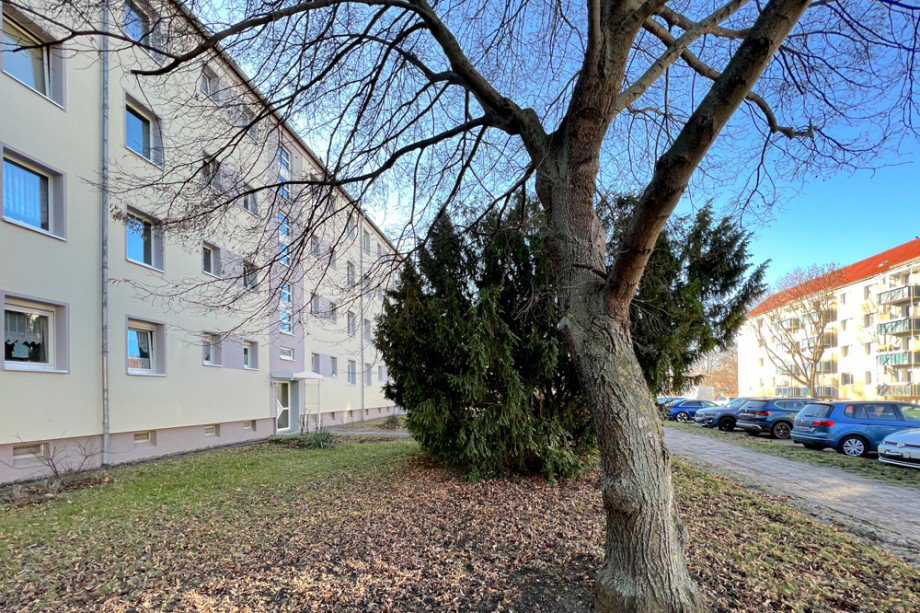 Gepflegte Wohnumgebung Etagenwohnung Erfurt
