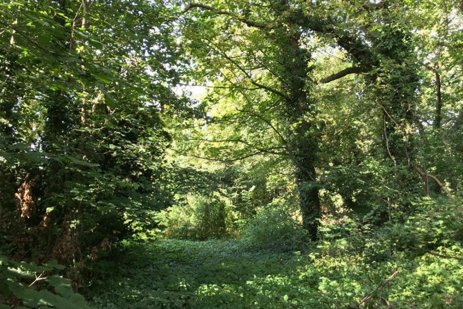Komplett umz�unter Privatwald Einfamilienhaus Tonna / Gr�fentonna