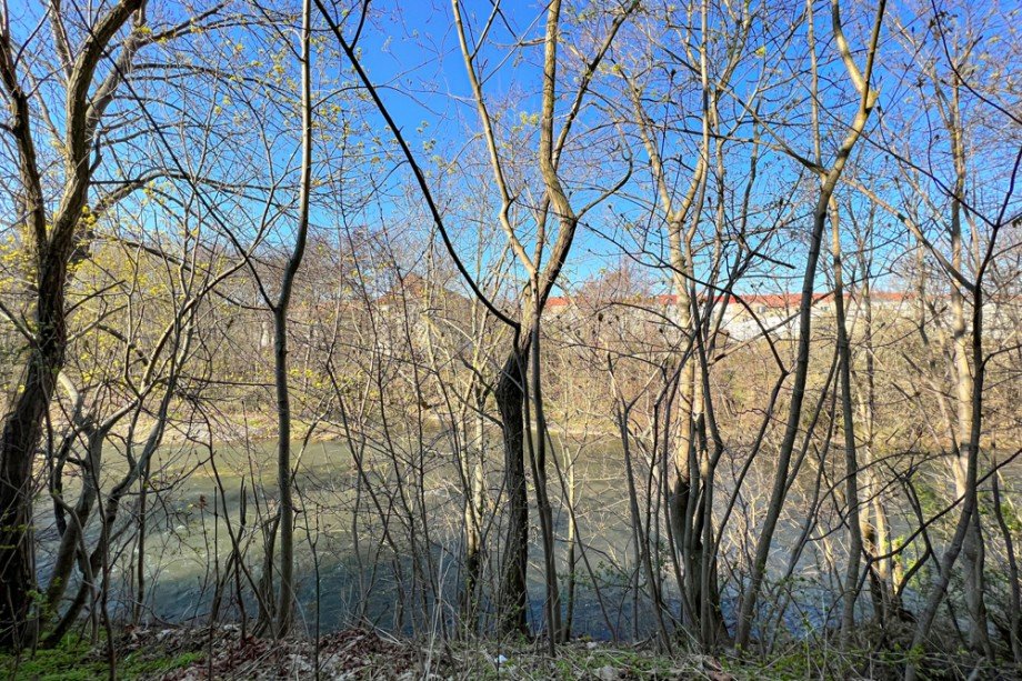 Wohnen am Fluss Dachgeschosswohnung Erfurt